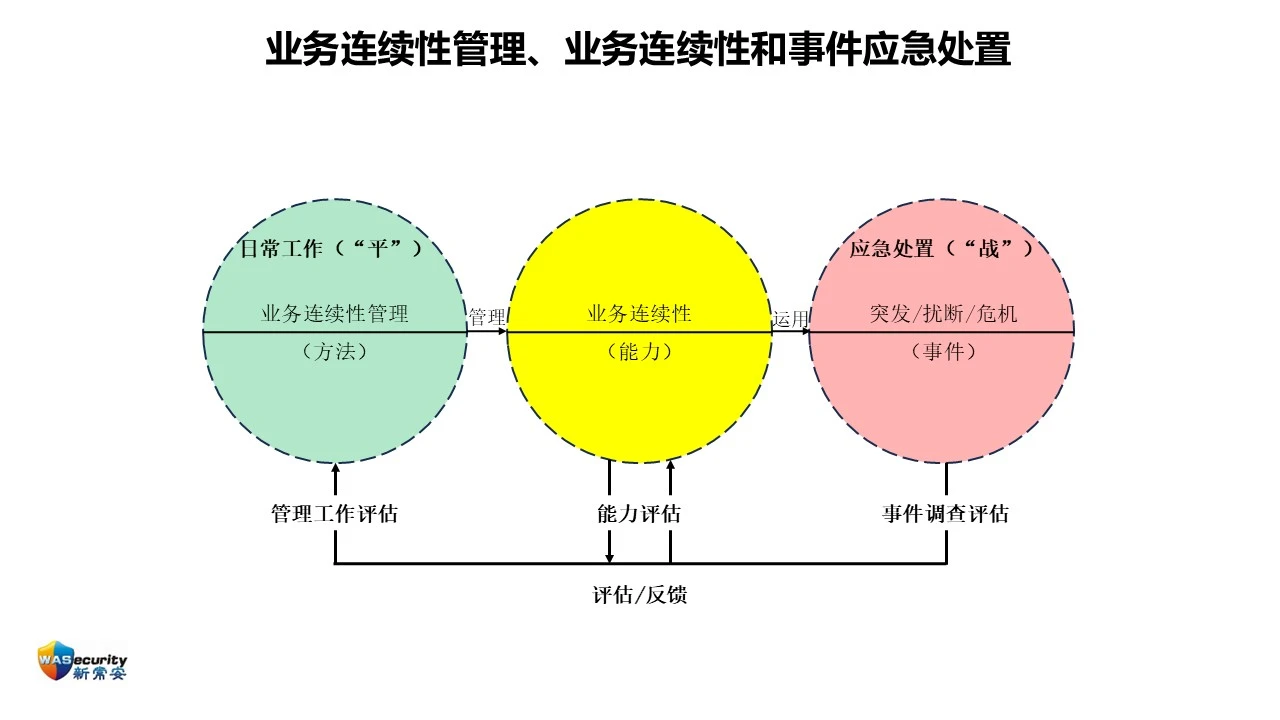 王曙-01